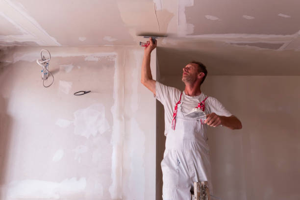 Best Ceiling Drywall Installation  in Mount Sterling, IL